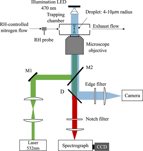 Gas-Particle Uptake and Hygroscopic Growth by Organosulfate Particles