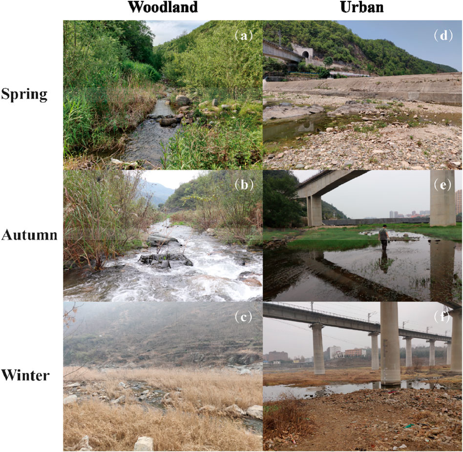 PDF) Investigating the use of macrophyte stable C and N isotopic