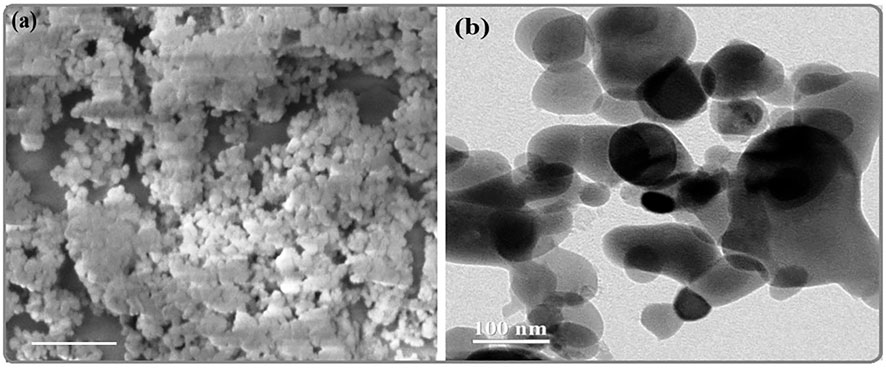SEM image of iron powder used in the present investigation