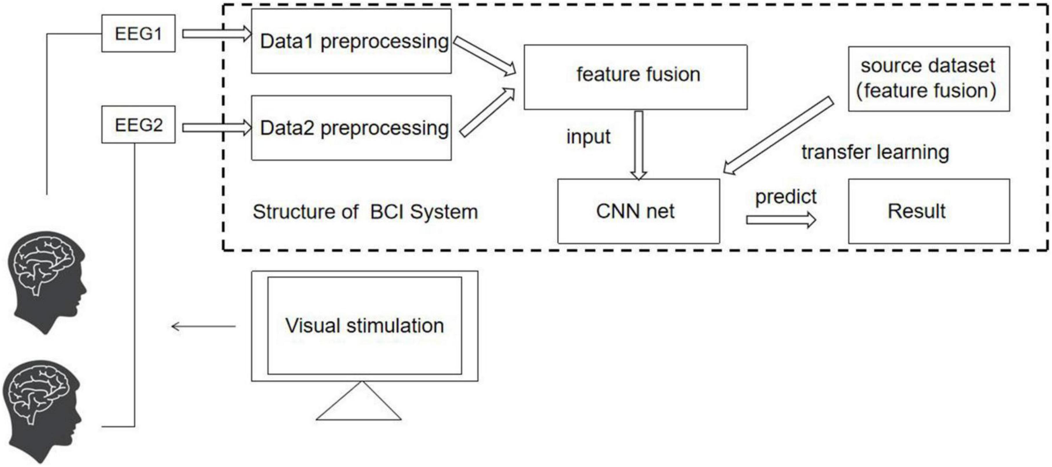 Frontiers | Steady-state visually evoked potential collaborative BCI ...