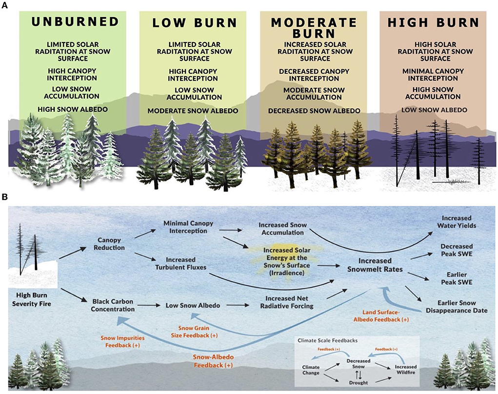 Frontiers  Assessing the effectiveness of landscape-scale forest