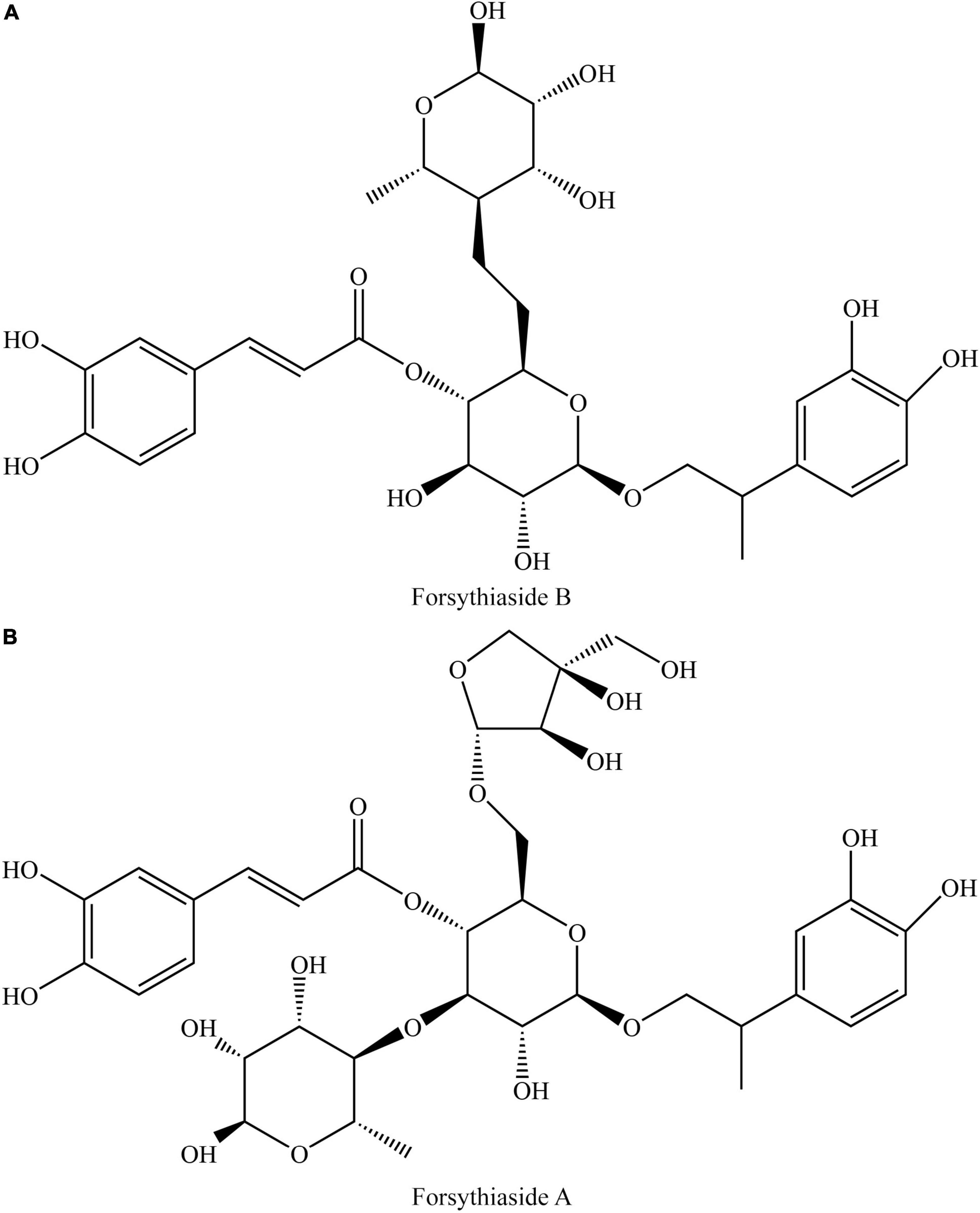 fchem-08-550625-g001.jpg