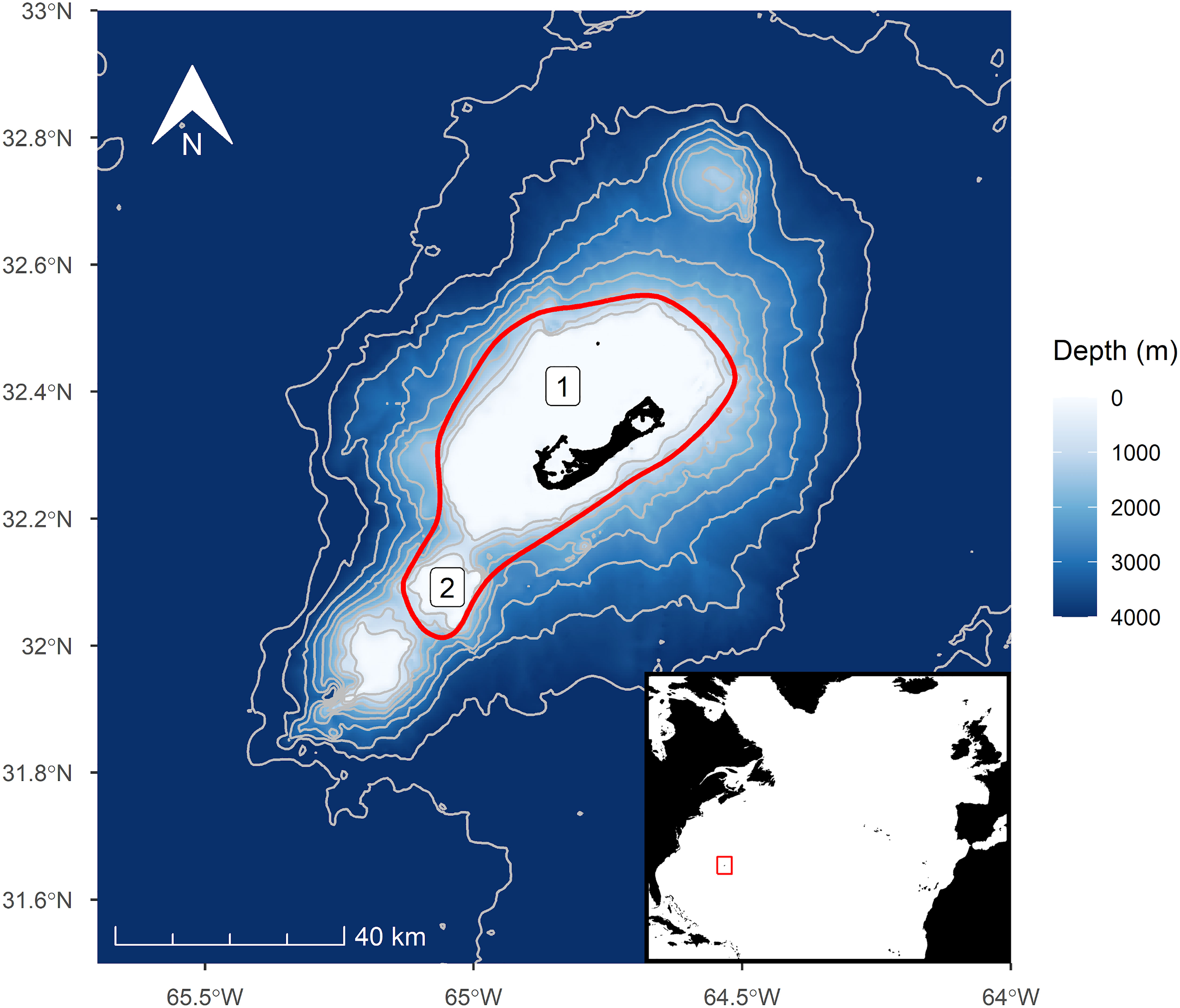 Frontiers  A decade of humpback whale abundance estimates at