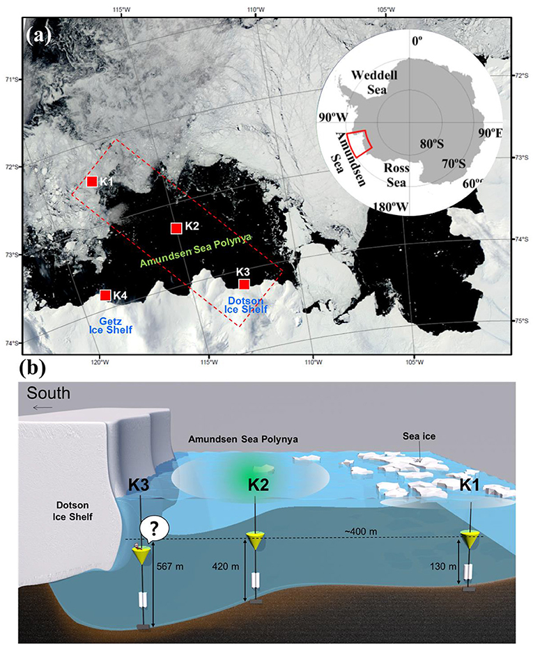 Figure 1 - (a) Locations of sediment traps (red squares) in the Amundsen Sea.