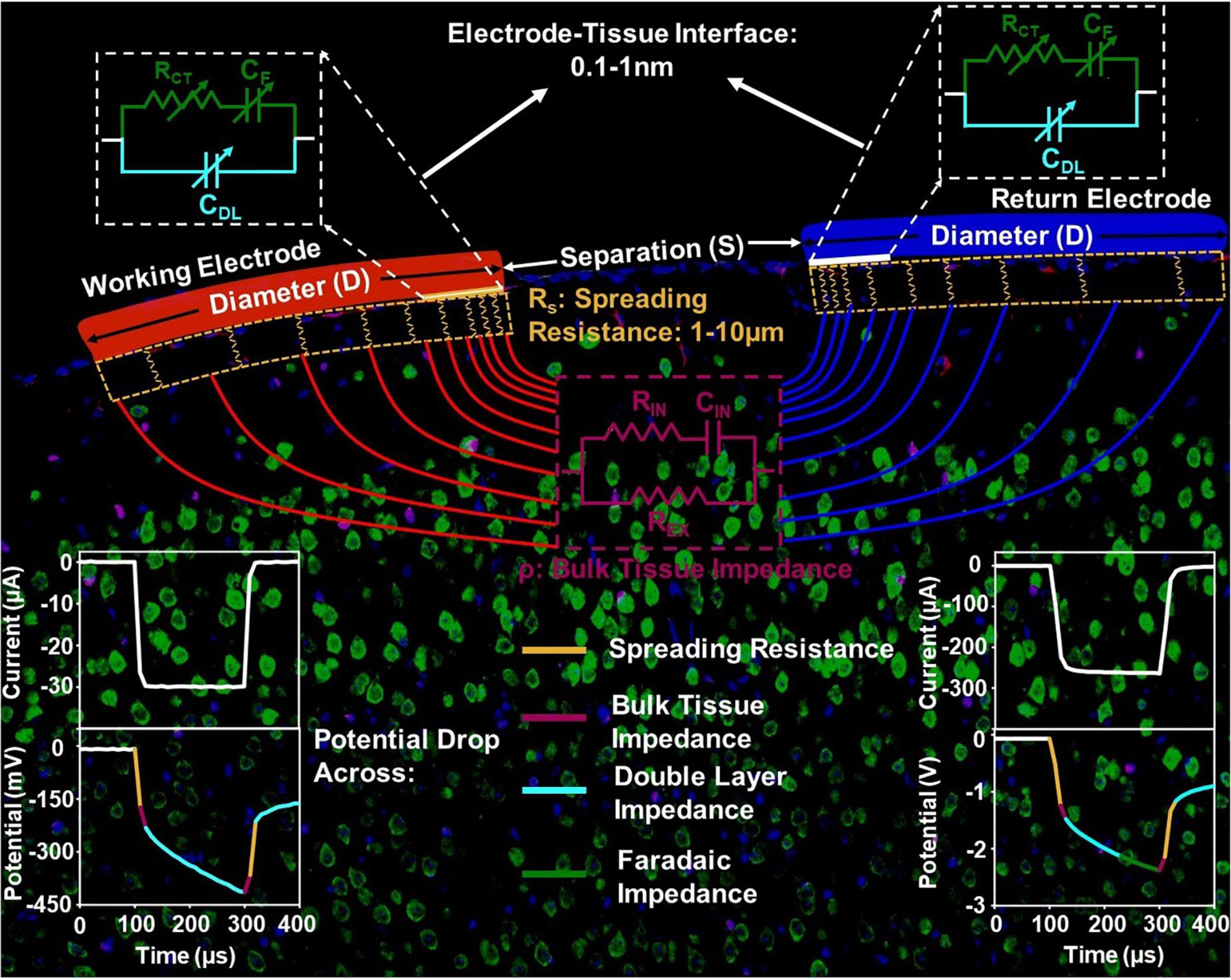 Frontiers  Safety and efficacy of electrical stimulation for