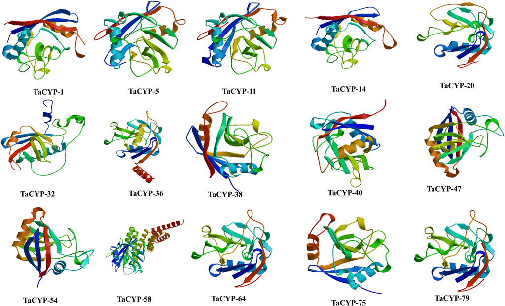 Frontiers | Genome-wide characterization and identification of ...