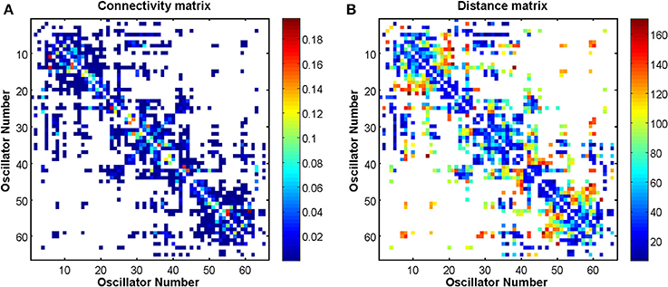 Frontiers Markers Of Criticality In Phase Synchronization Frontiers