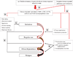 www.frontiersin.org