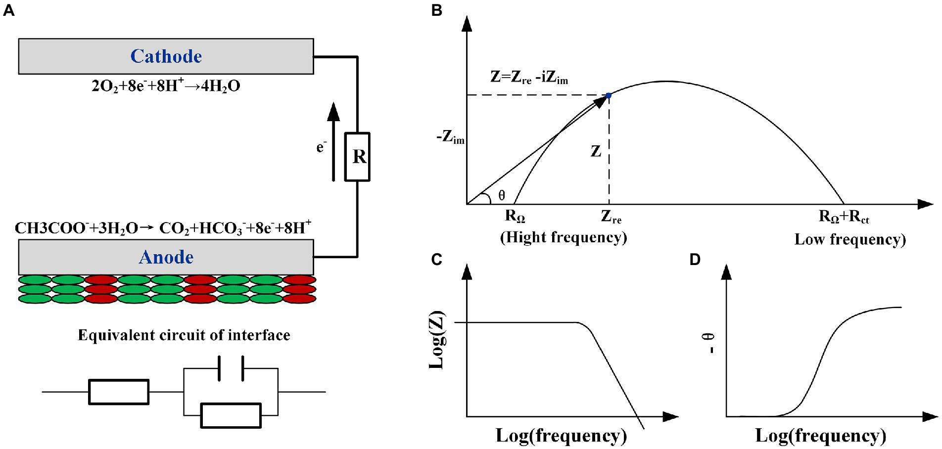 Electrochemically Generated Interfacial pH Change: Application to