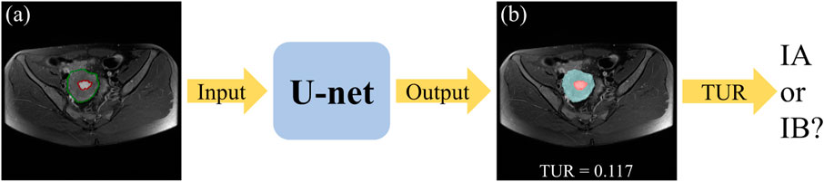 www.frontiersin.org