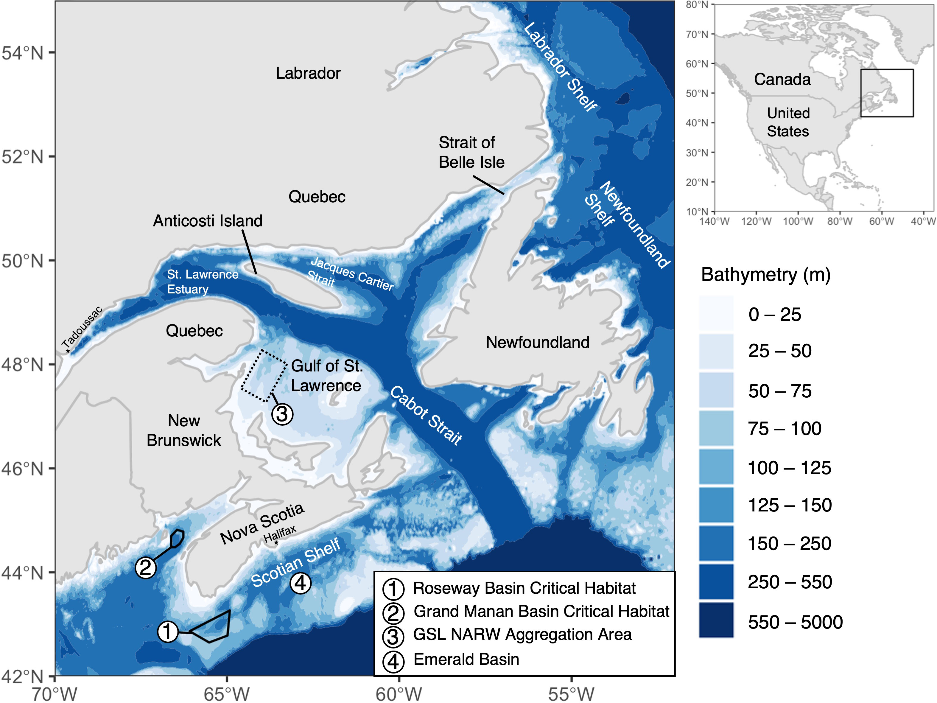 Origin Of Species Ch 65 Frontiers | The distribution of North Atlantic right whales in Canadian  waters from 2015-2017 revealed by passive acoustic monitoring