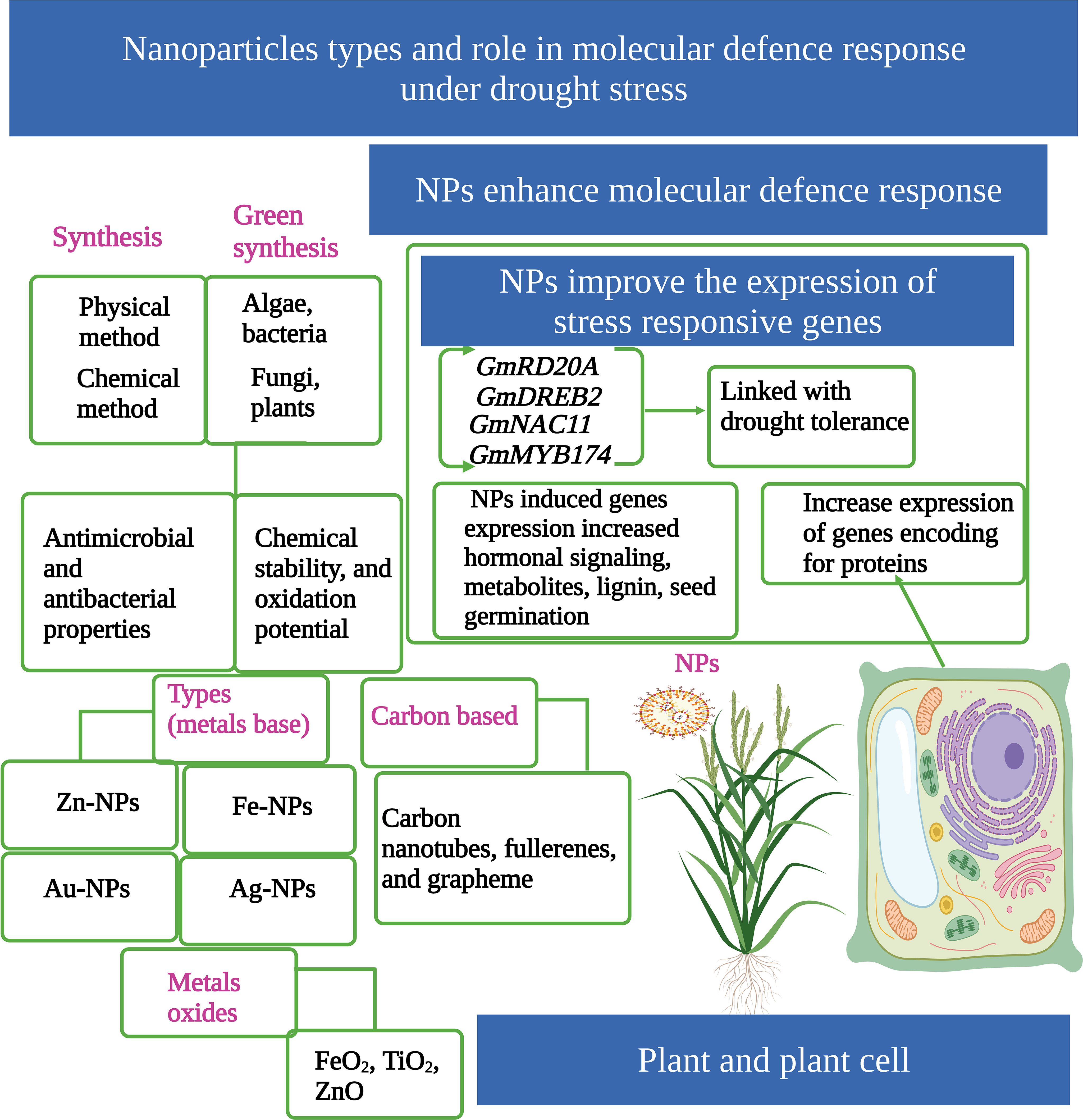 Full article: Biomedical Potential of Plant-Based Selenium Nanoparticles: A  Comprehensive Review on Therapeutic and Mechanistic Aspects