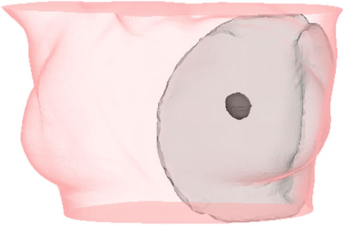 www.frontiersin.org
