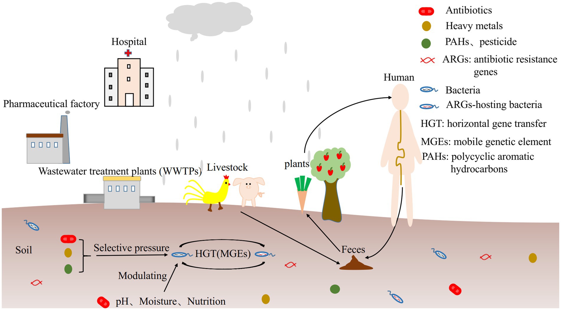 Binding Force and Site-Determined Desorption and Fragmentation of Antibiotic Resistance Genes from Metallic Nanomaterials