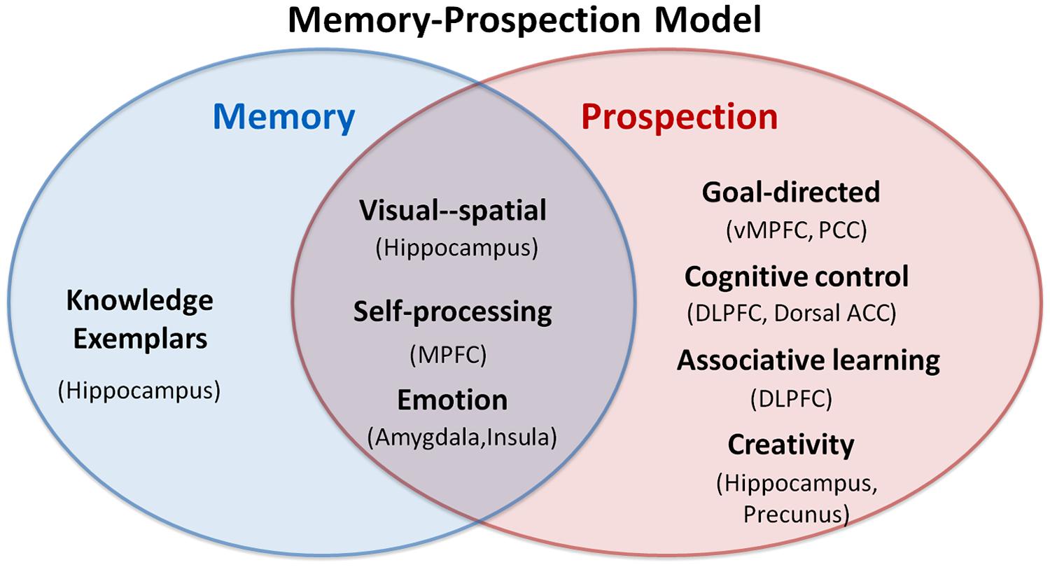 Frontiers | From memory to prospection: what are the overlapping ...