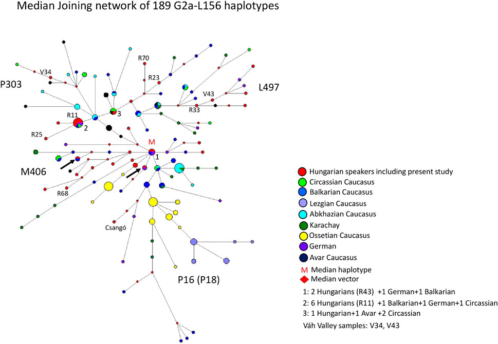 Full article: Network analysis of the Caucasus' image