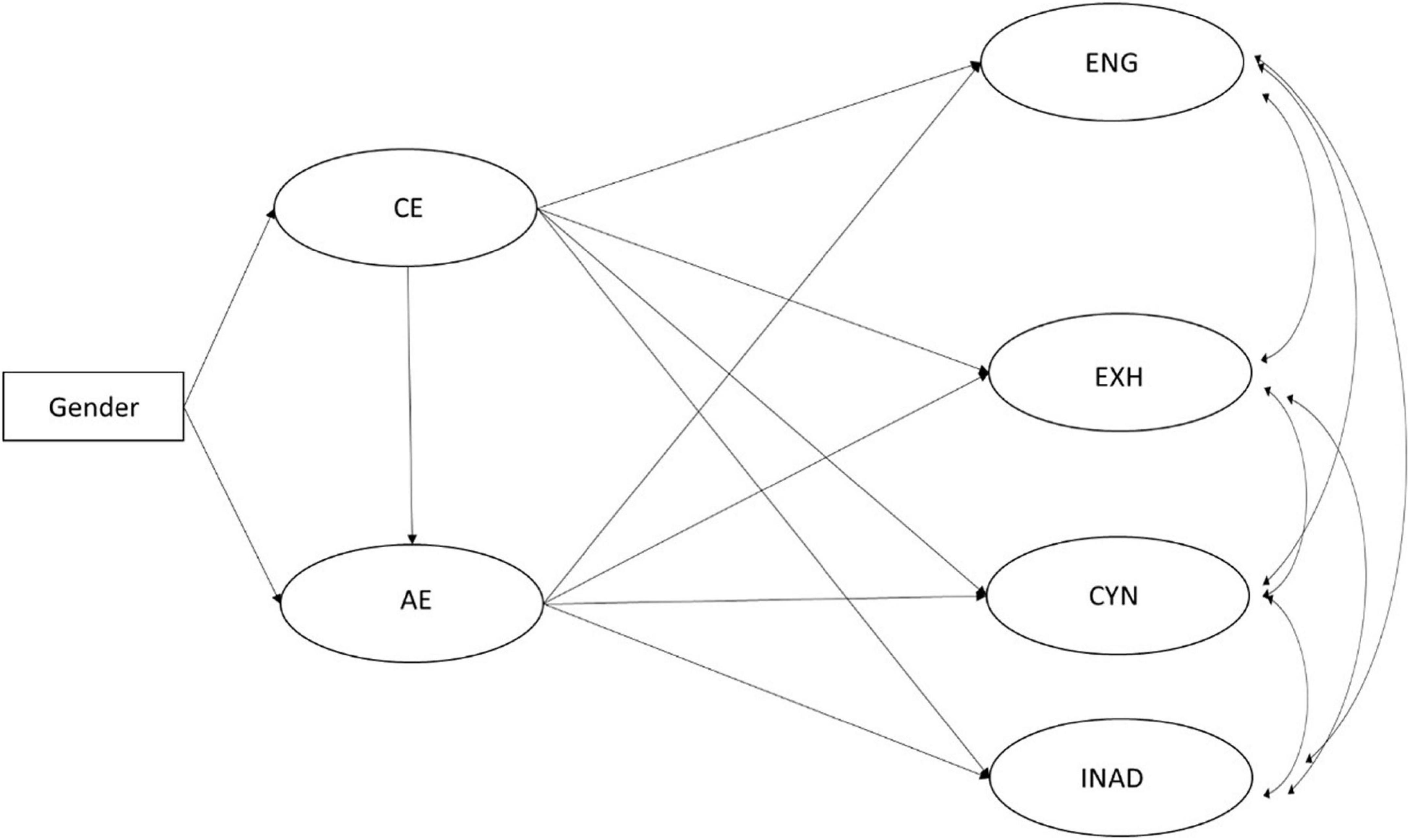 X Explanations Empathy