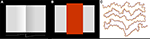www.frontiersin.org