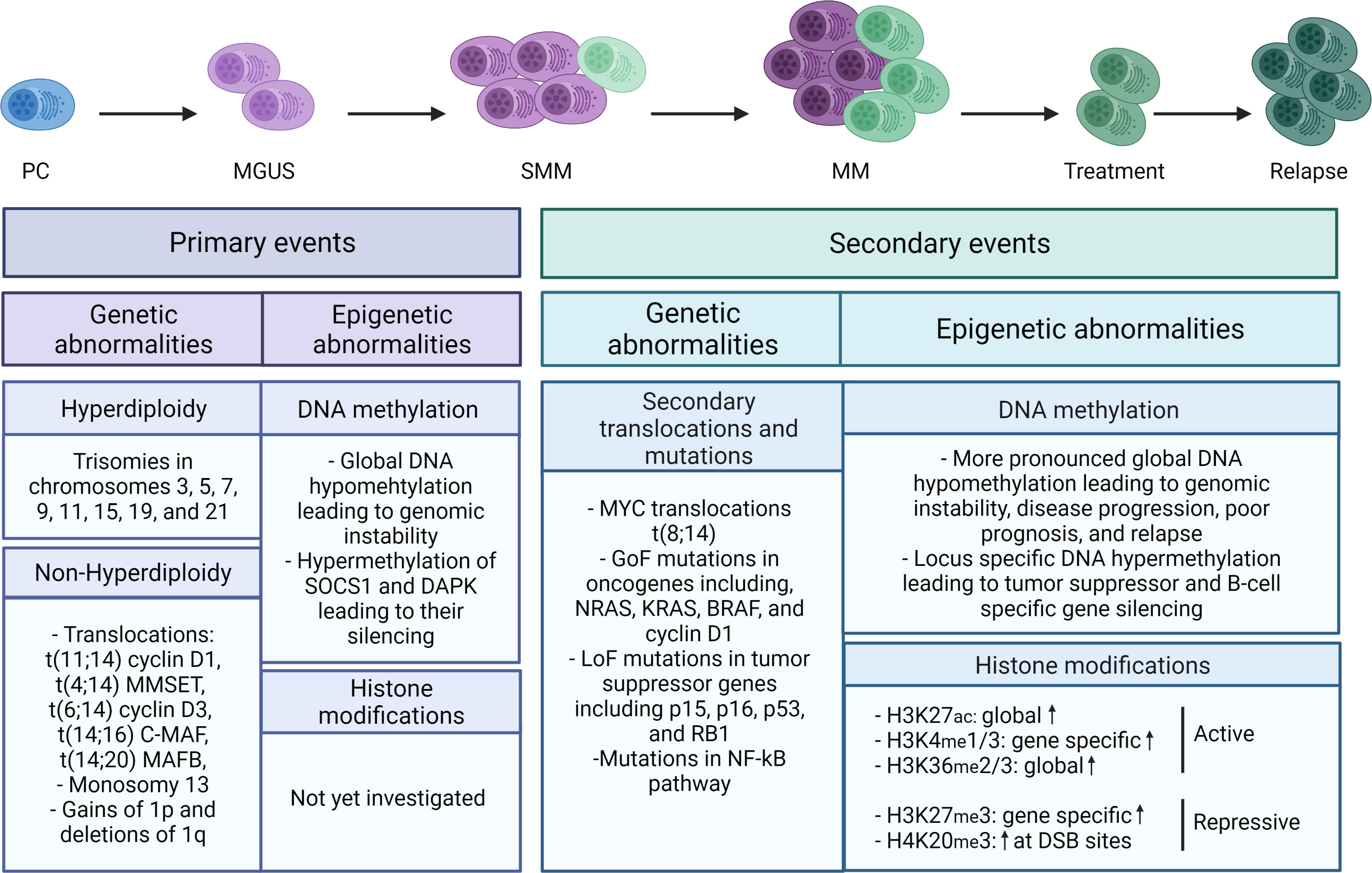 Frontiers | Aberrant DNA methylation in multiple myeloma: A major 
