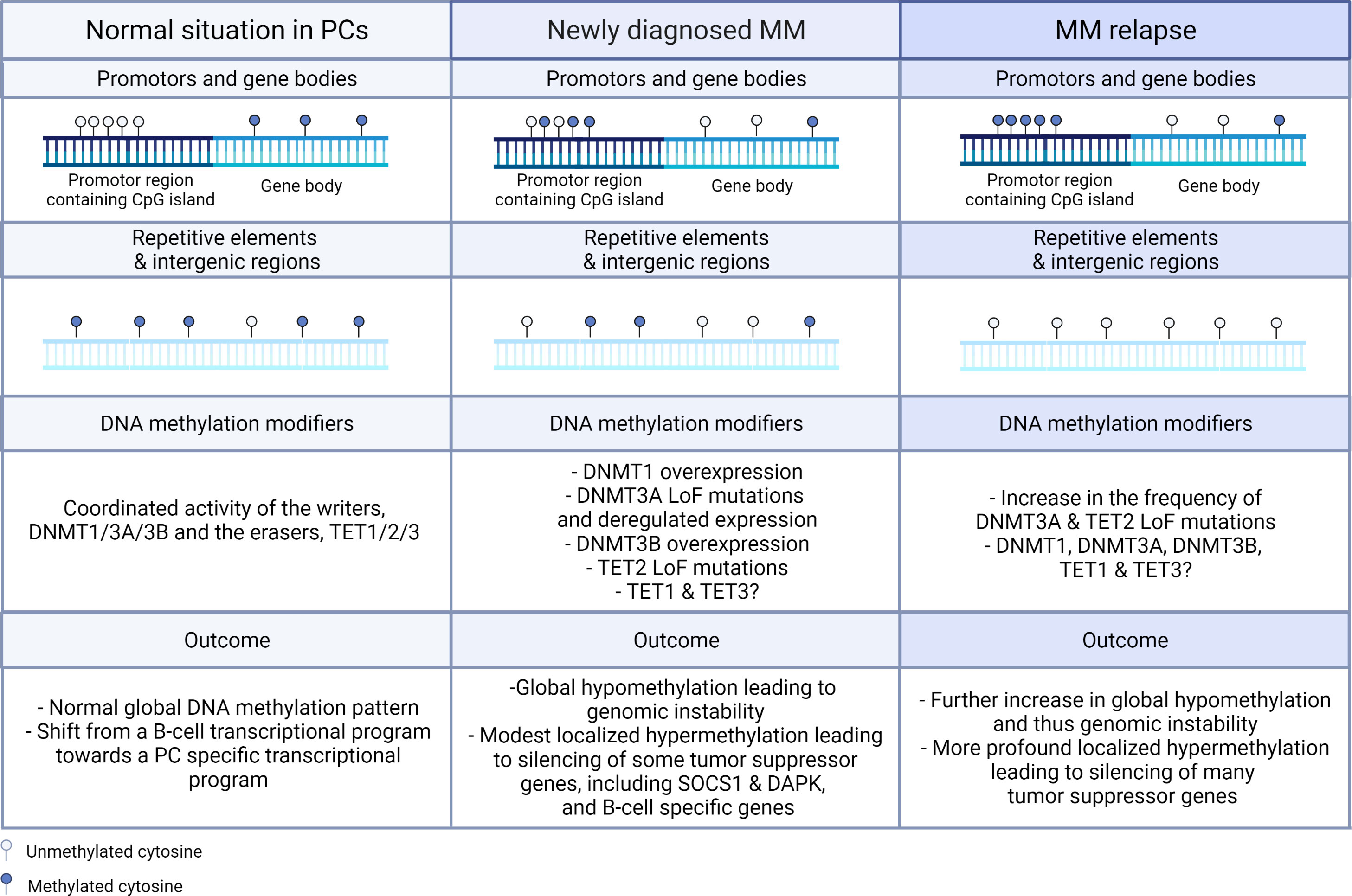 Full article: Epigenetic treatment of multiple myeloma mediates tumor  intrinsic and extrinsic immunomodulatory effects