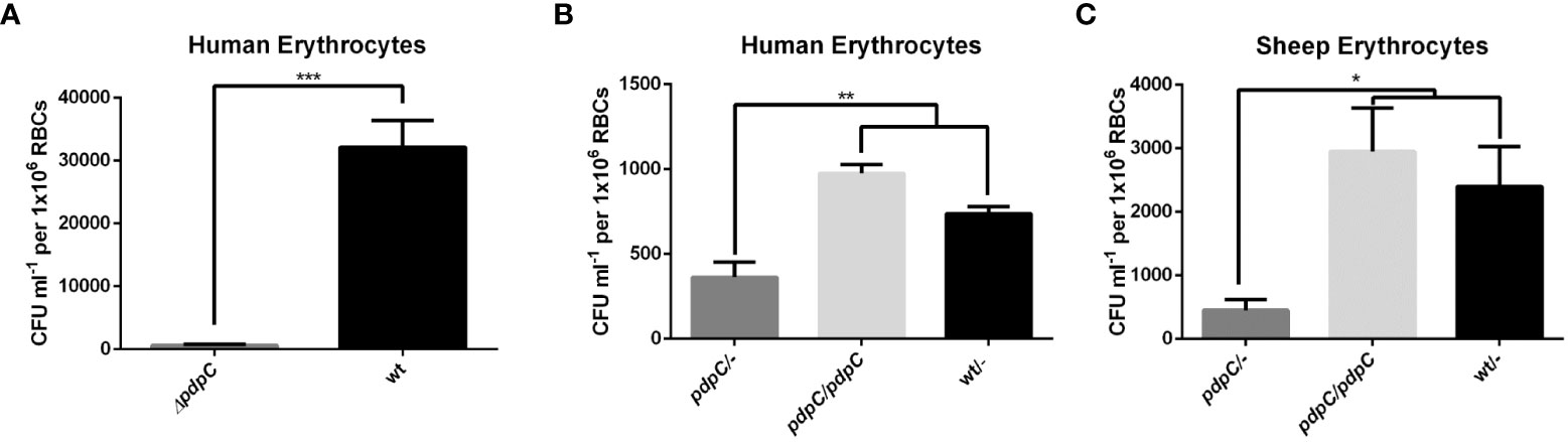 Frontiers  PdpC, a secreted effector protein of the type six