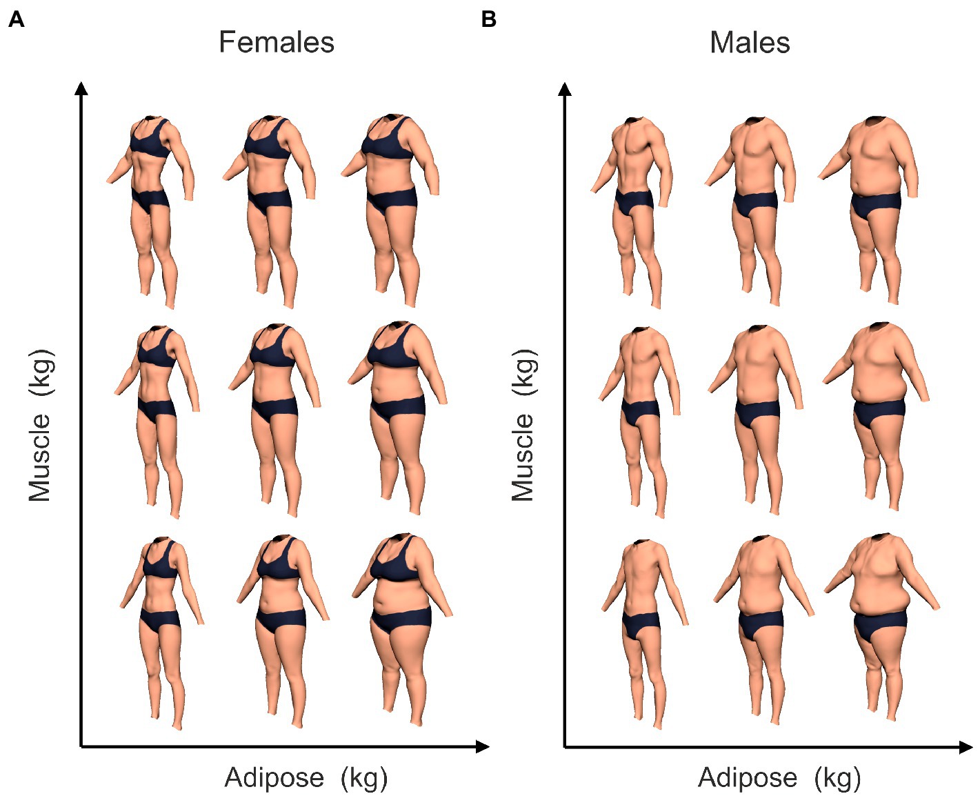 The Ideal Male Body According To 72% Of Women Vs. What Men Think We Want
