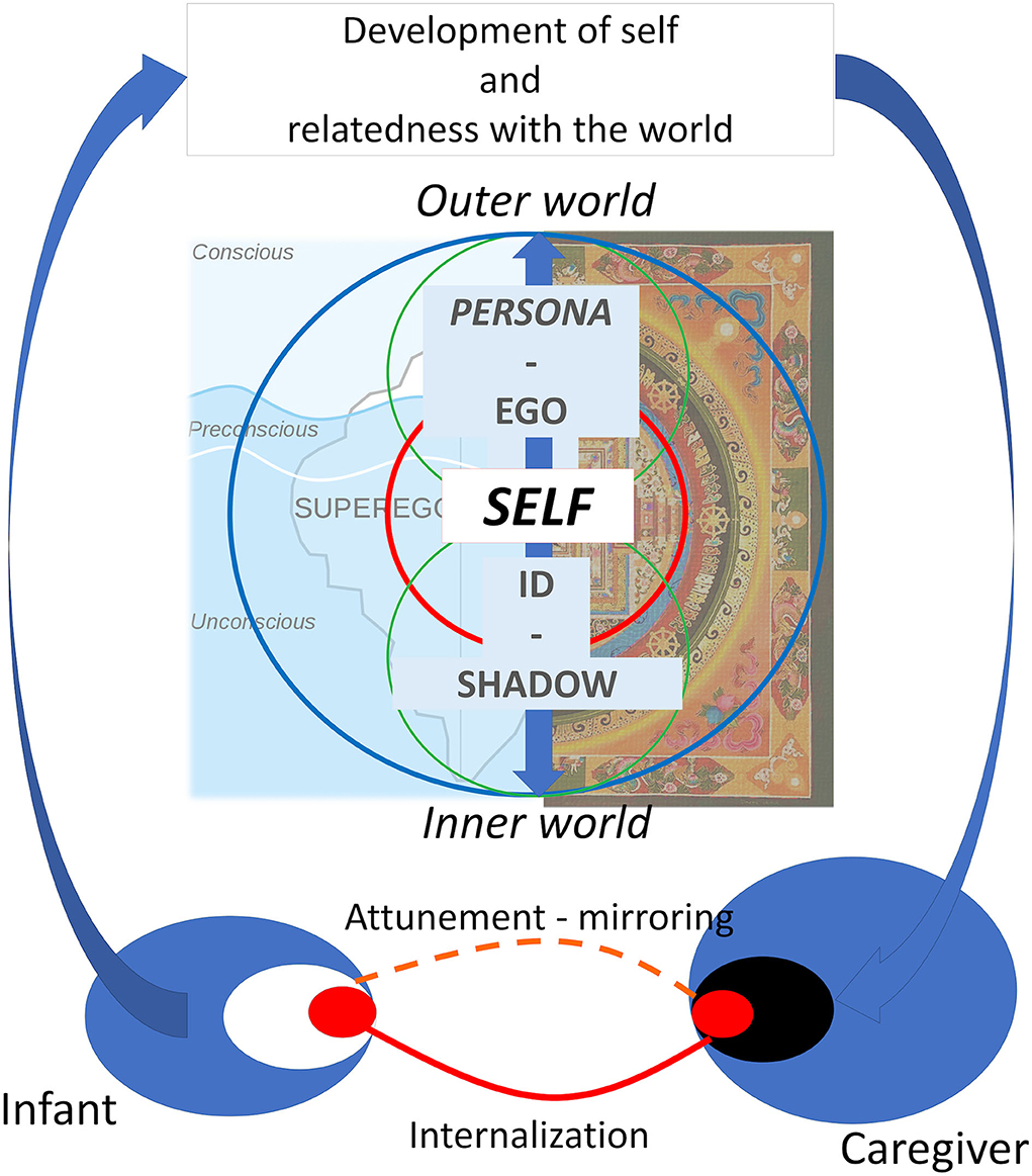 Improving the study of brain-behavior relationships by revisiting basic  assumptions: Trends in Cognitive Sciences