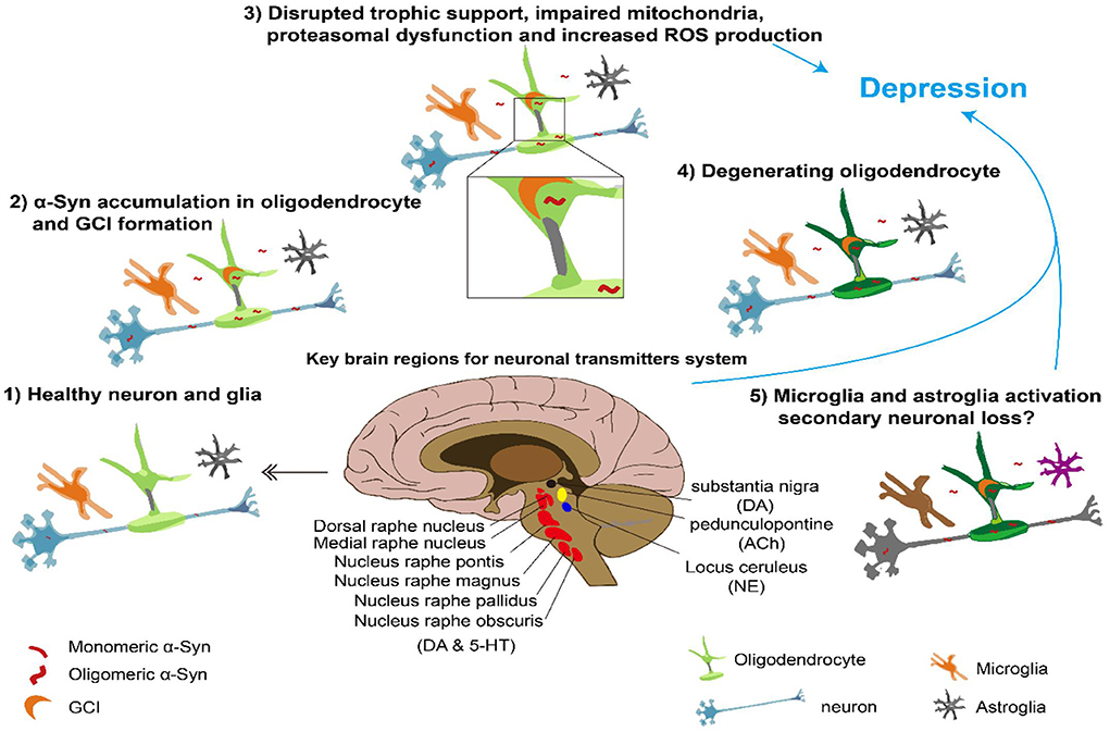 The structures of the MSA block, post-activation and pre-activation.