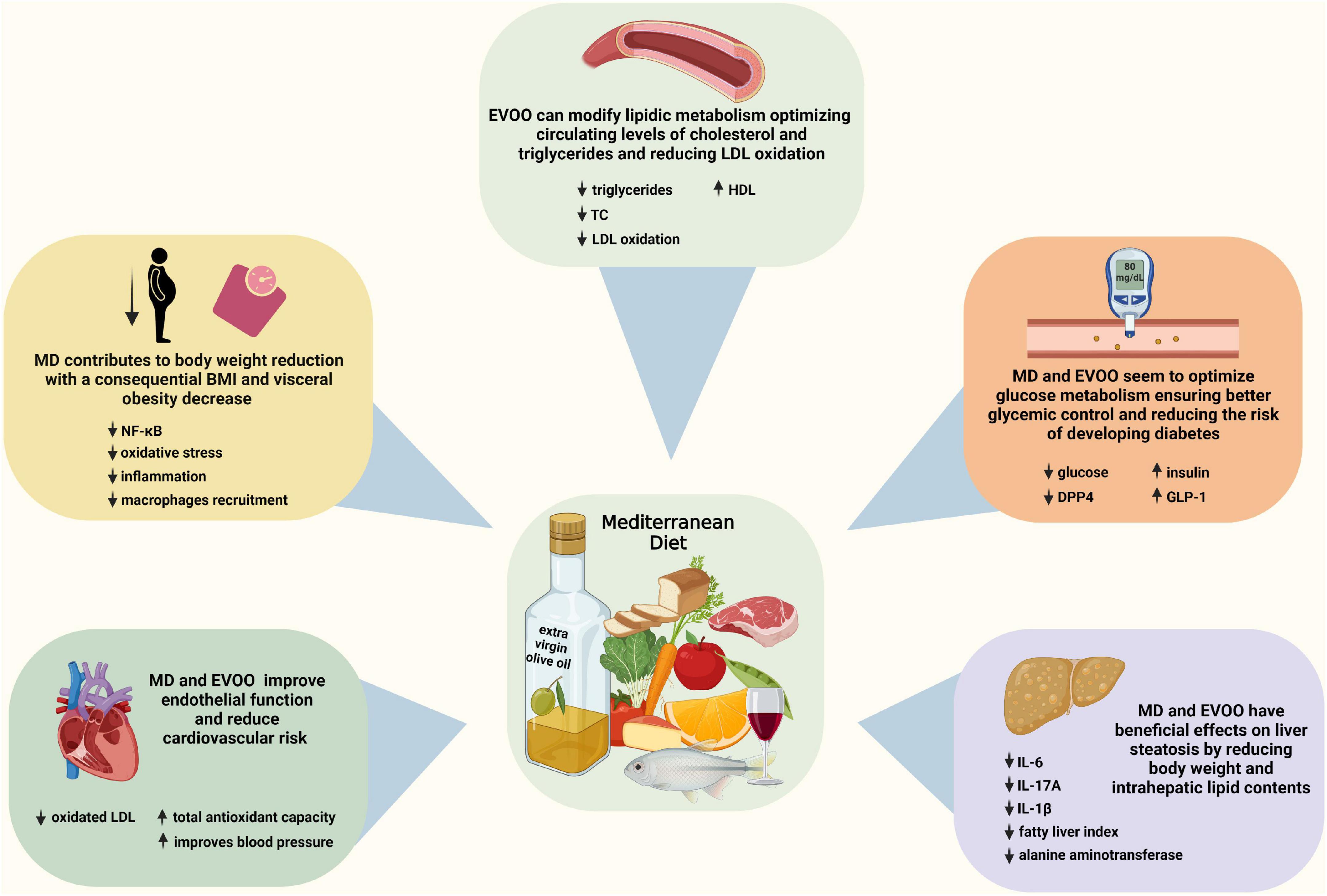 Olive Oil: Benefits, Nutrition, and Risks