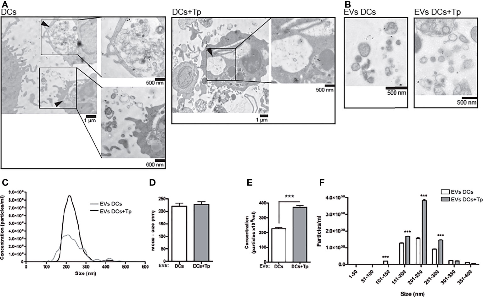 Frontiers  Comparative microRNA profiling of Trypanosoma cruzi infected  human cells