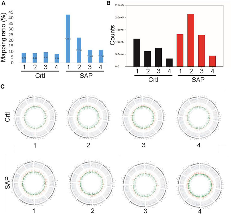 Frontiers | differential expression of plasma exosomal microrna in