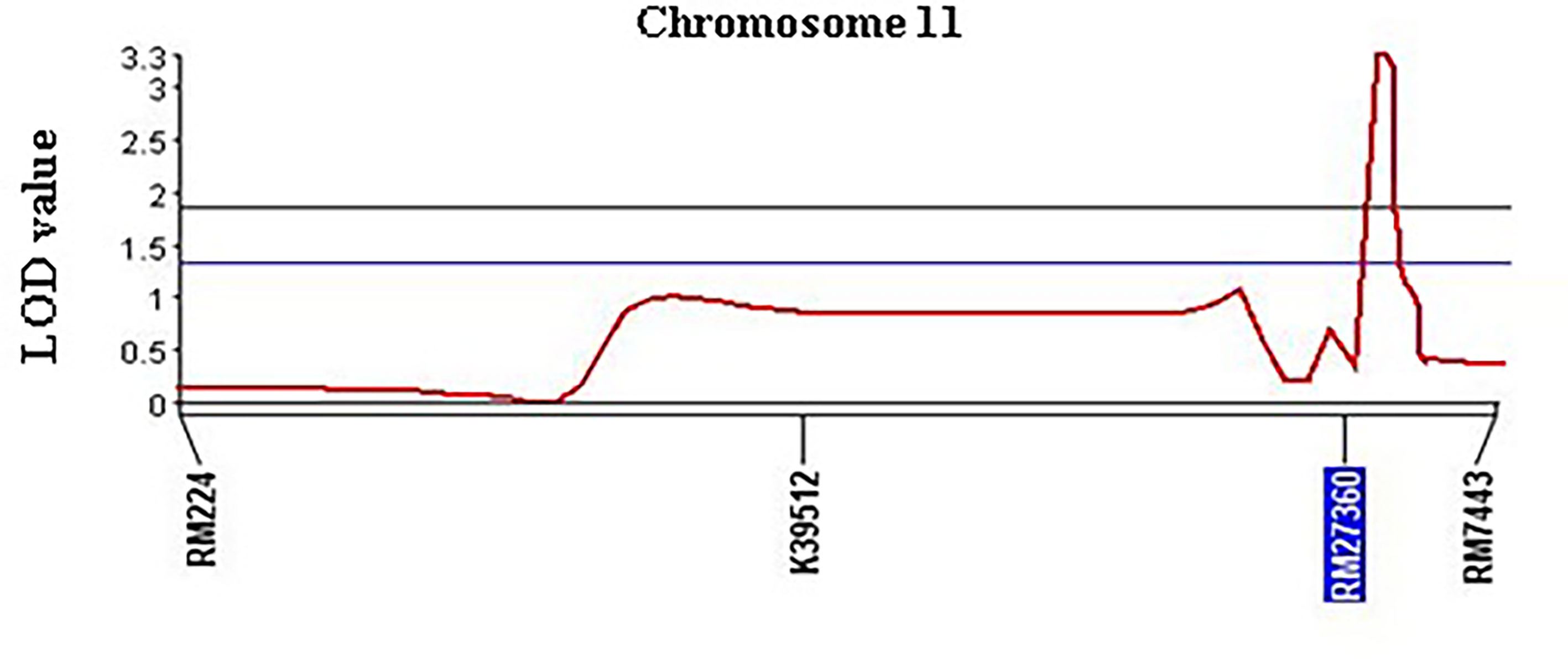 www.frontiersin.org
