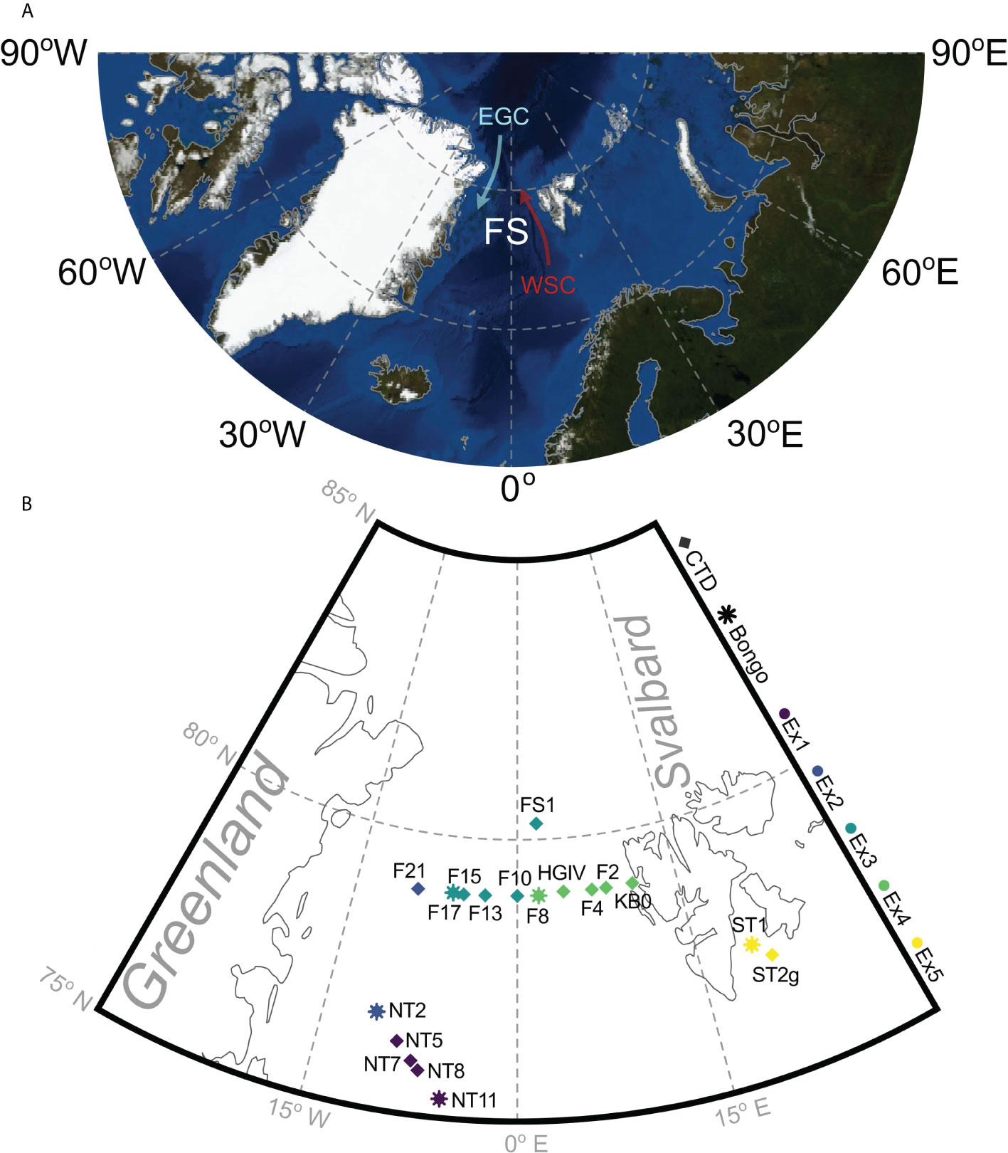 Frontiers  Grazing, egg production and carbon budgets for Calanus  finmarchicus across the Fram Strait