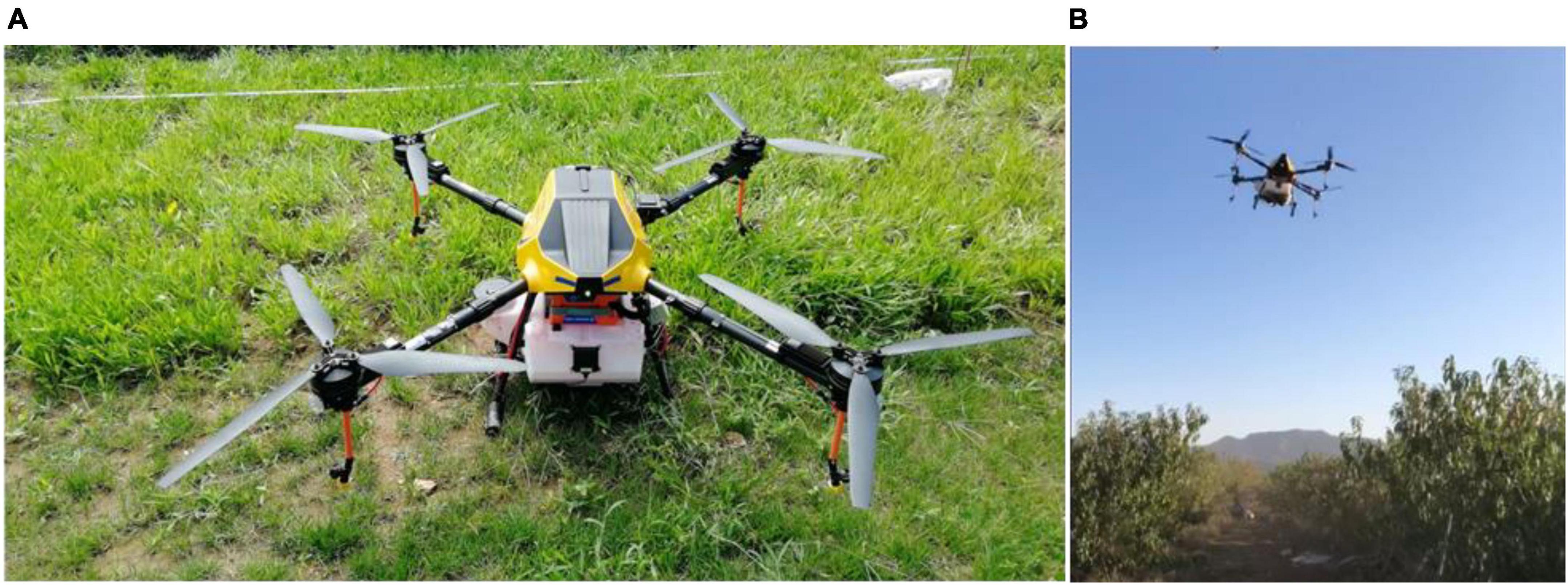 Frontiers  Effect of flight velocity on droplet deposition and drift of  combined pesticides sprayed using an unmanned aerial vehicle sprayer in a  peach orchard