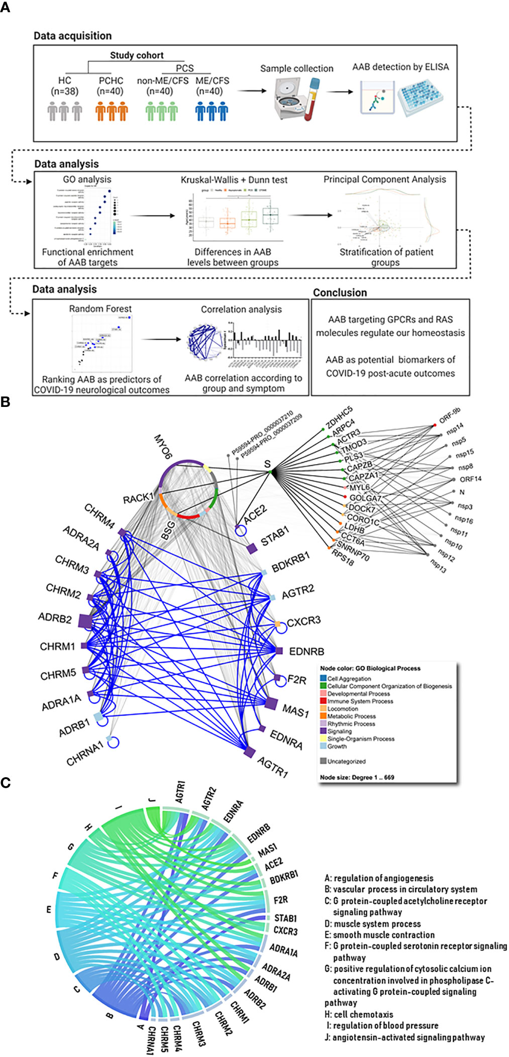 Functional correlates of clinical phenotype and severity in