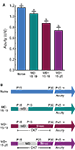 www.frontiersin.org