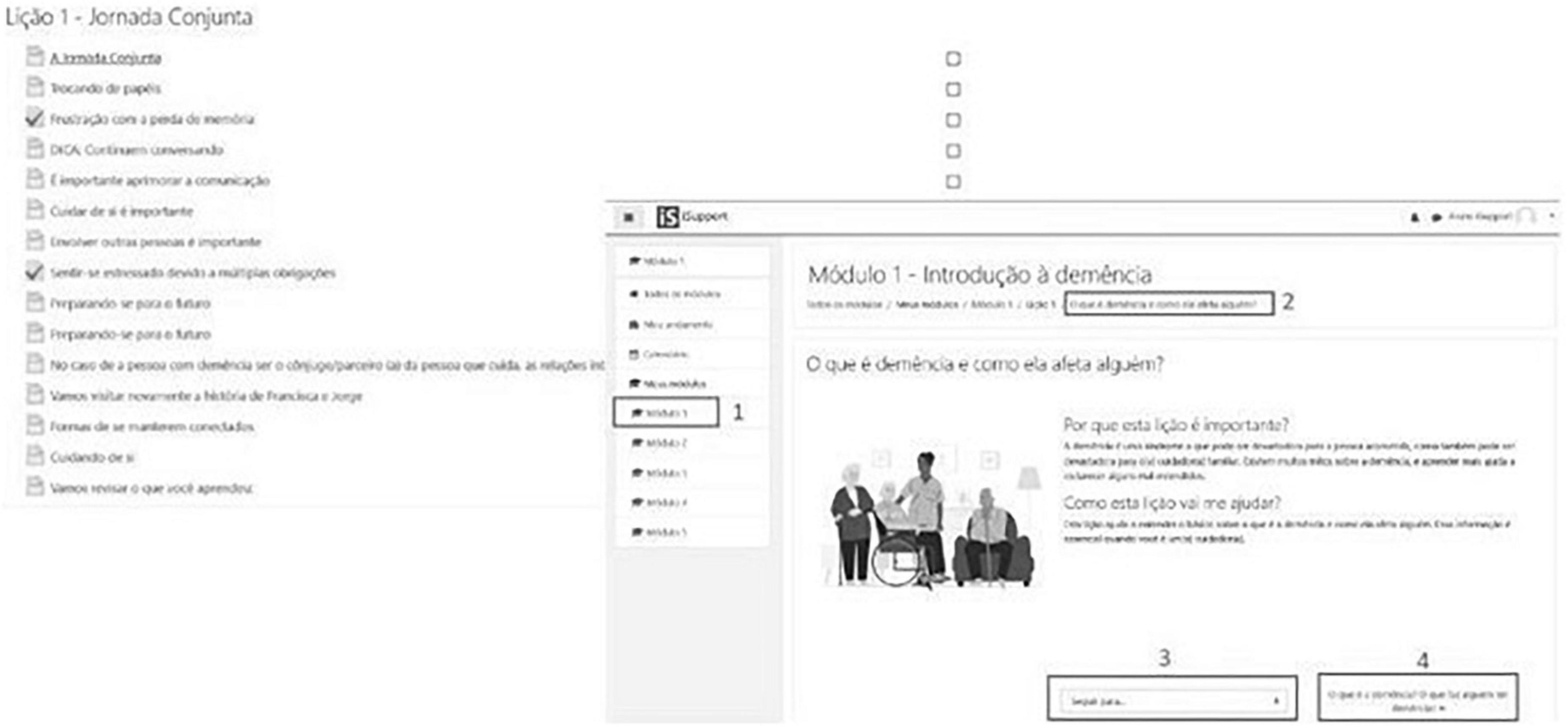 www.frontiersin.org