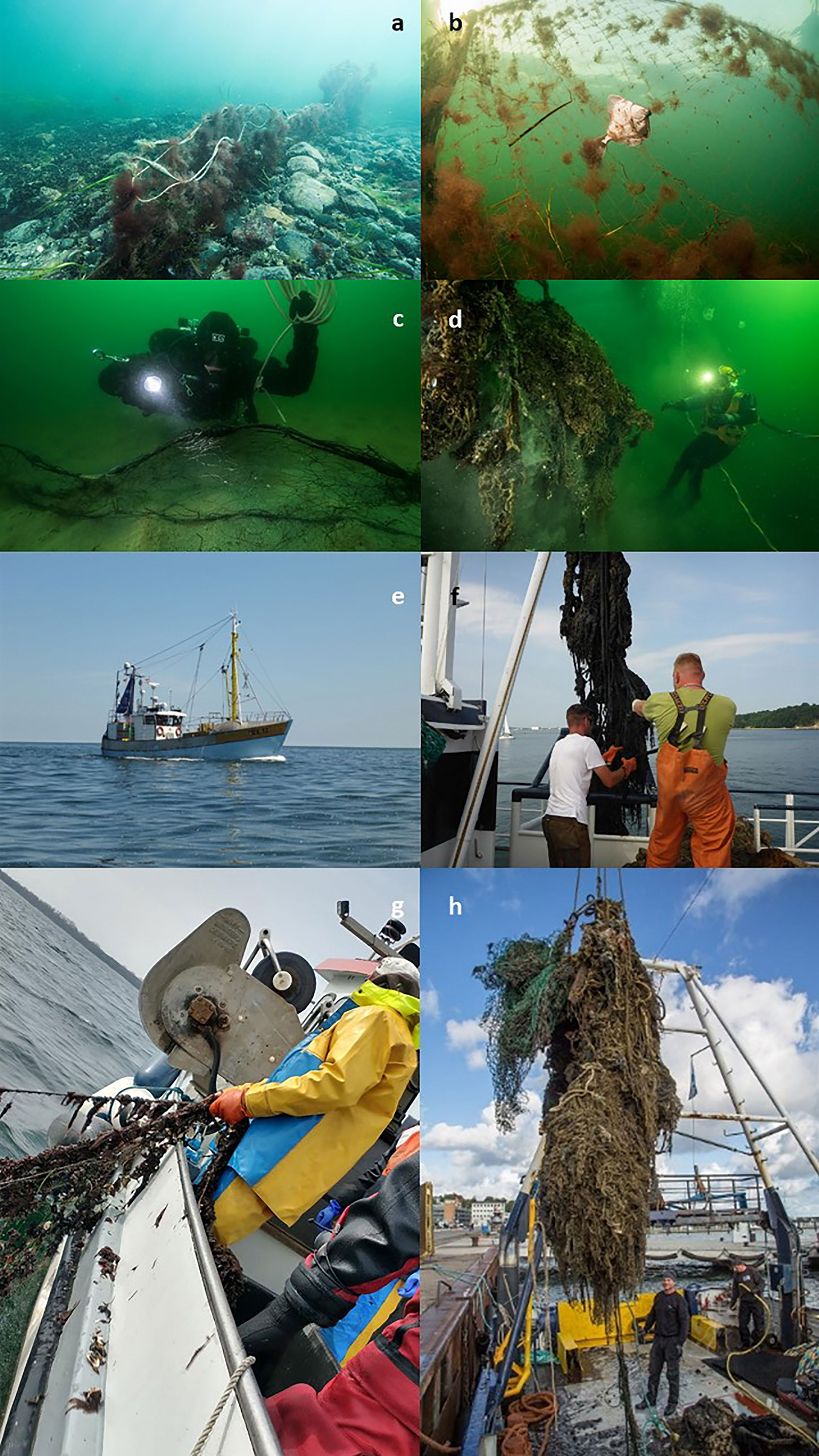 Frontiers  The quest for ghost gear in the German Baltic Sea: A team  effort between WWF, divers, fisherfolk, and public authorities