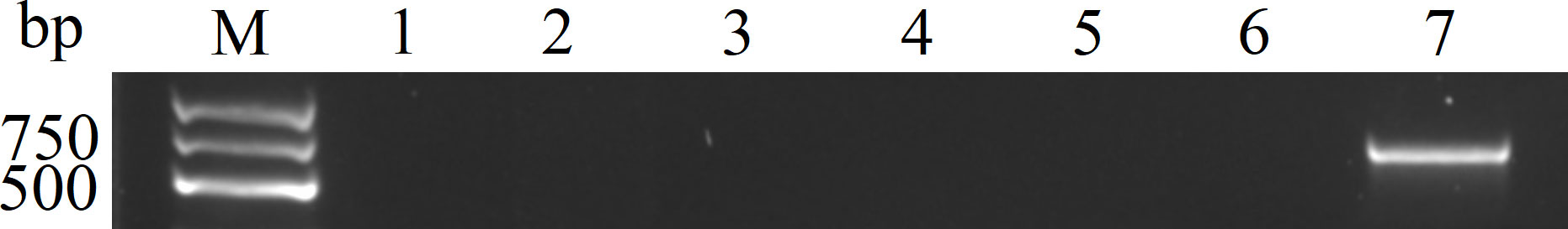 www.frontiersin.org