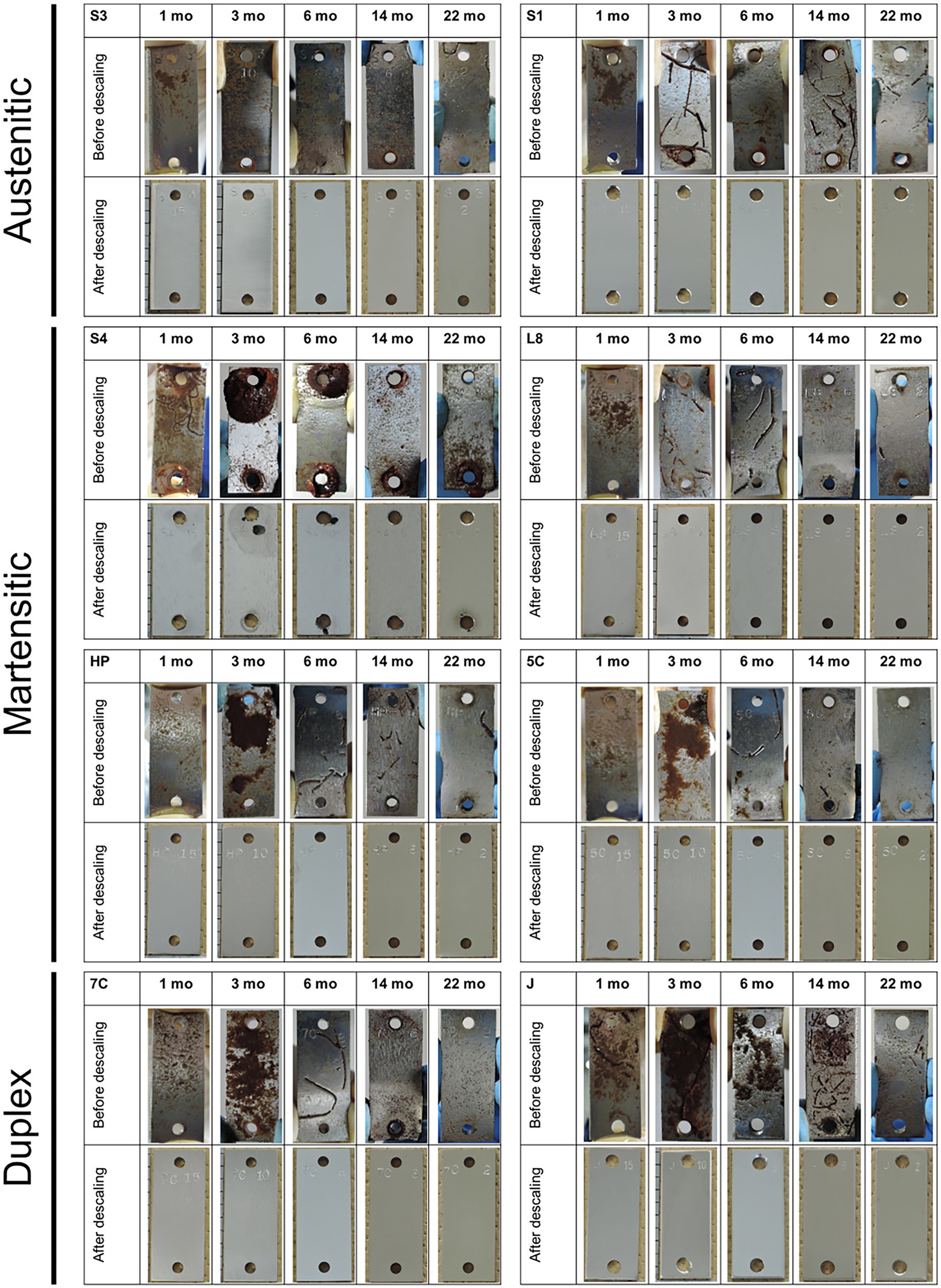 Frontiers  Research Progress on the Corrosive Environment Large