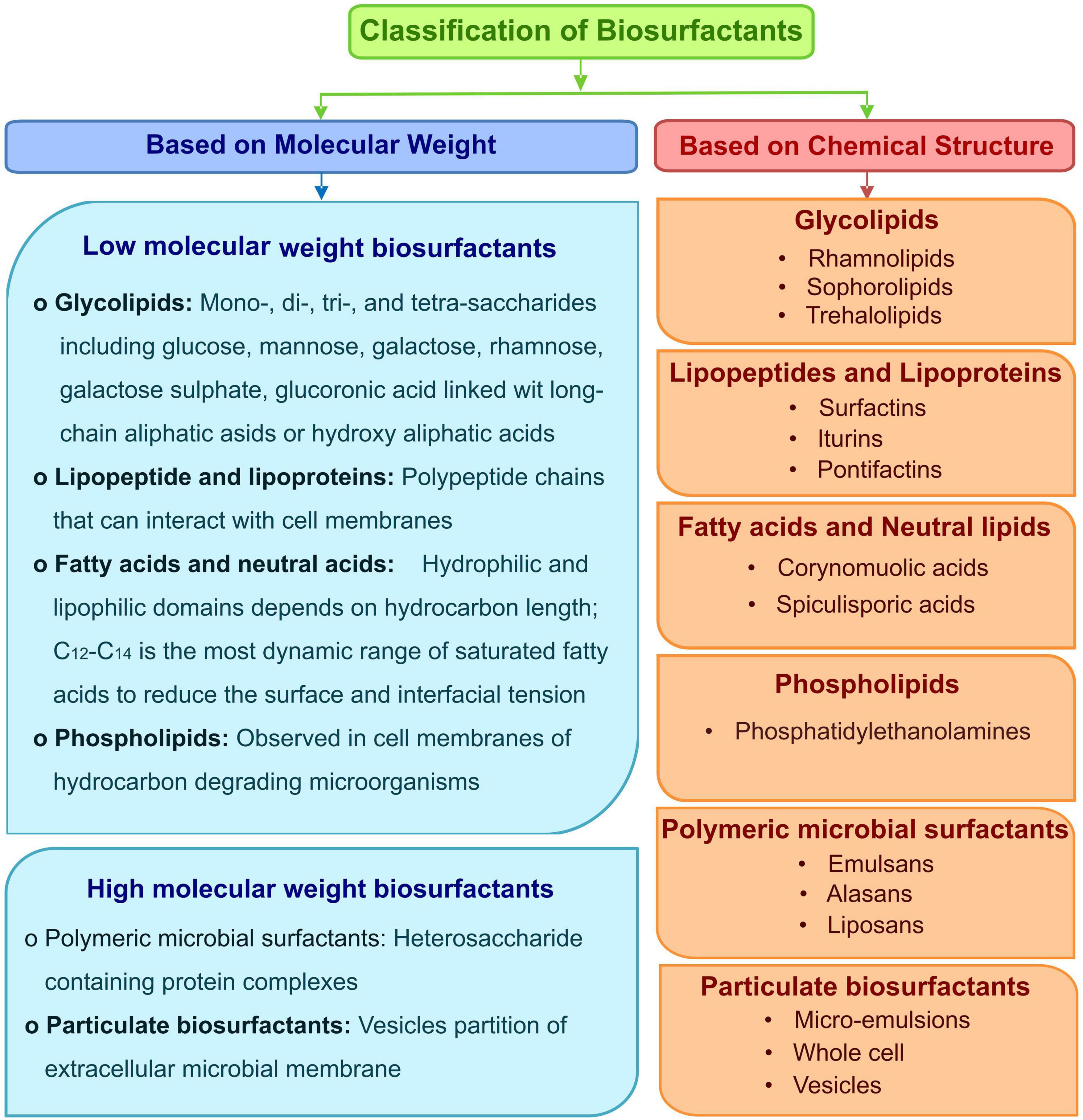 Frontiers Microbial Surfactants A Journey From Fundamentals To 