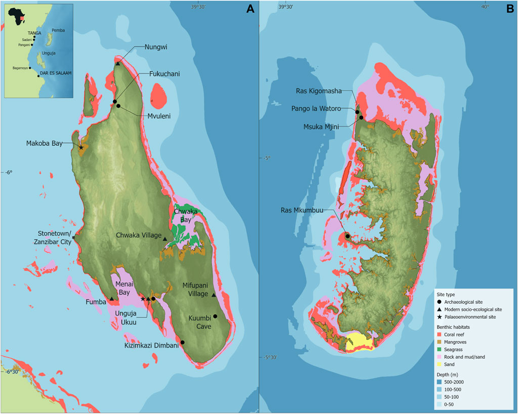 Frontiers | Human-ecodynamics and the intertidal zones of the
