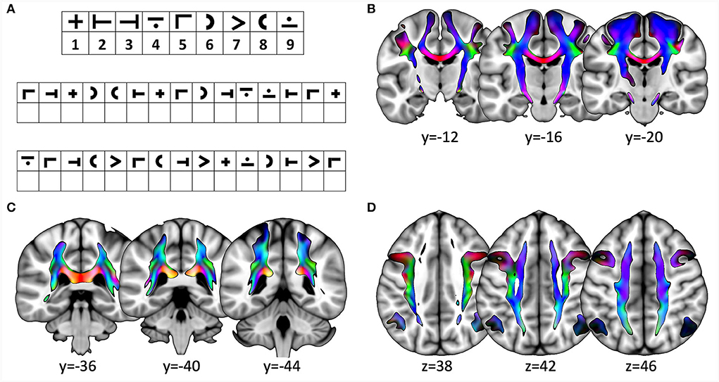 Mean BRB-N scores in patients with MS and healthy controls