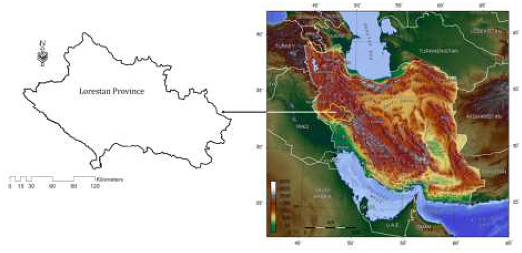 www.frontiersin.org
