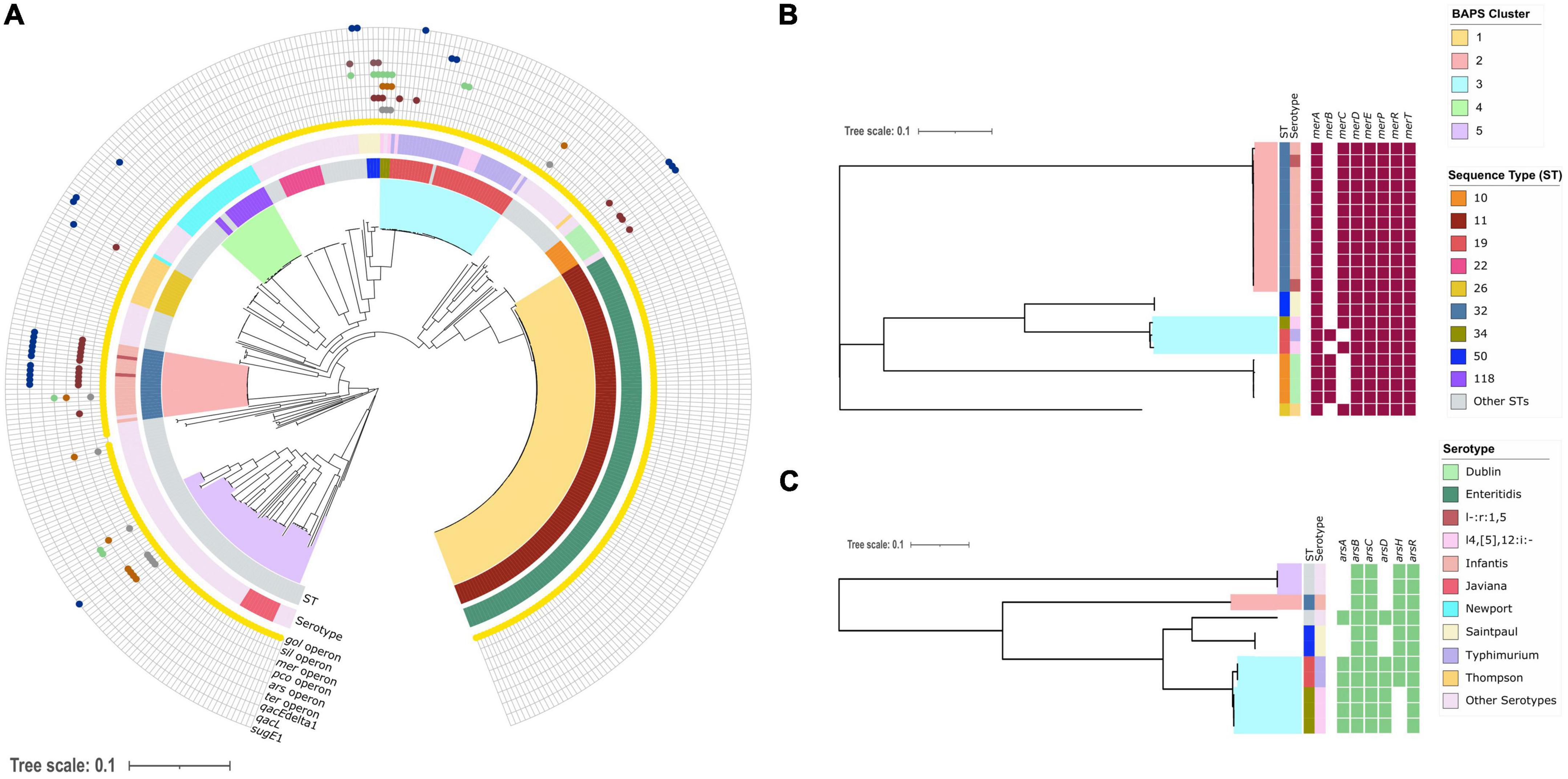 Population genomics confirms acquisition of drug-resistant