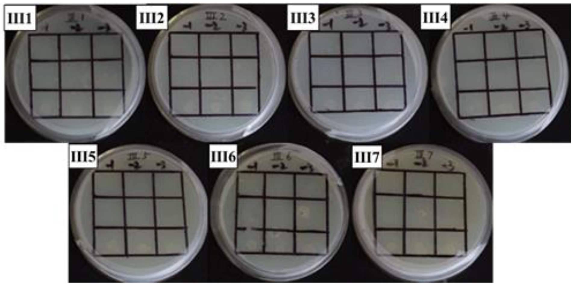 Frontiers | Regulation of Nir gene in Lactobacillus plantarum WU14 ...