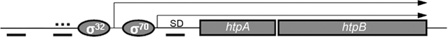 www.frontiersin.org