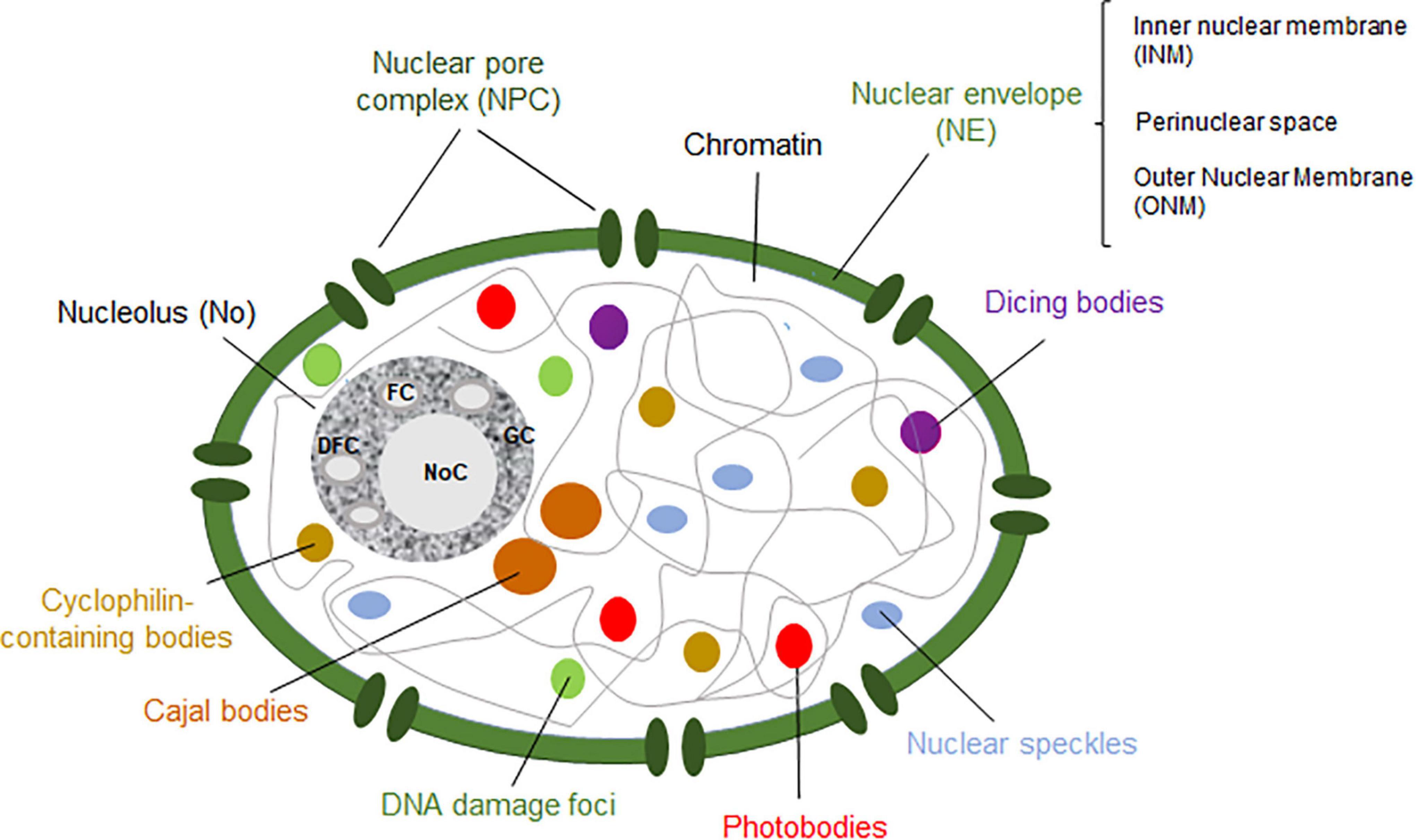 Office for Nuclear Regulation (@The_ONR) / X