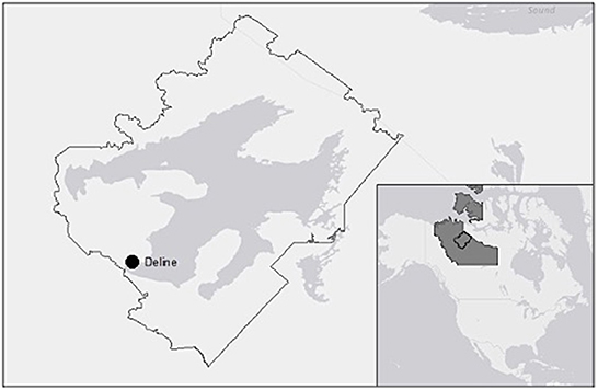 www.frontiersin.org