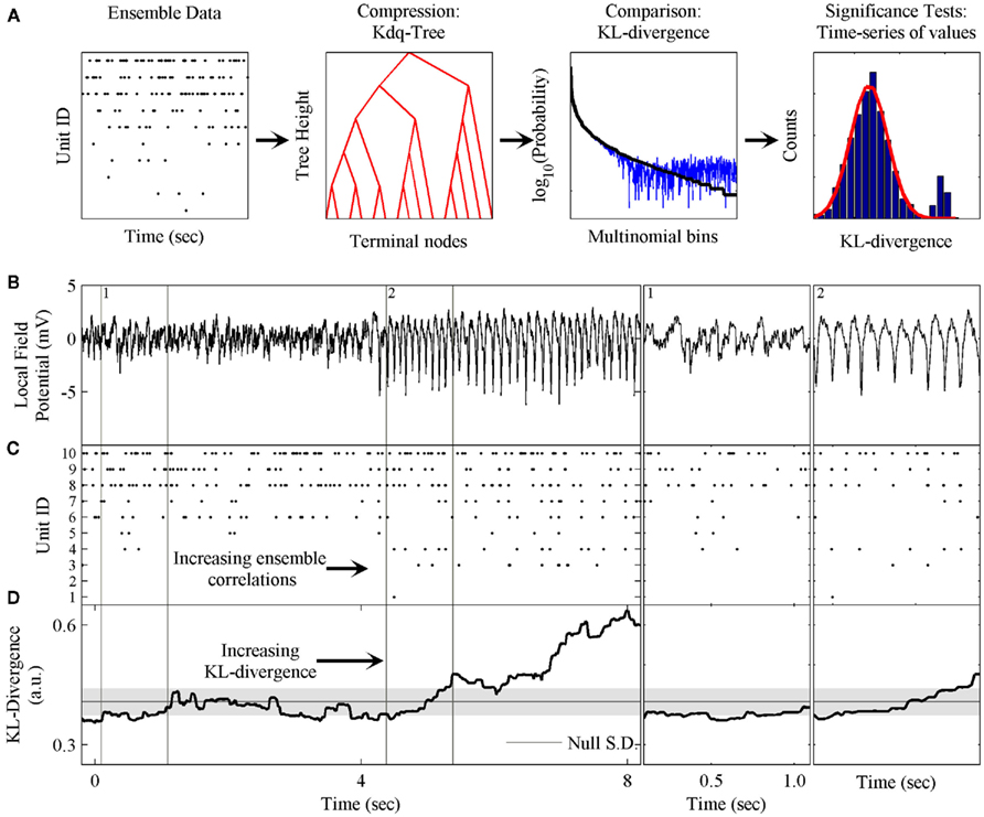 Frontiers A Statistical Description Of Neural Ensemble